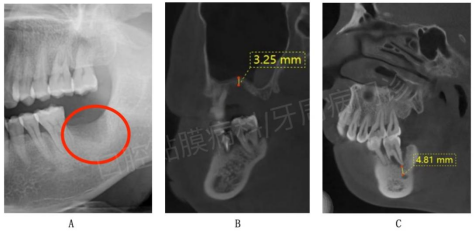 微信图片_20221008160101.png