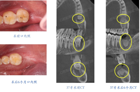 微信图片_20221008160246.png